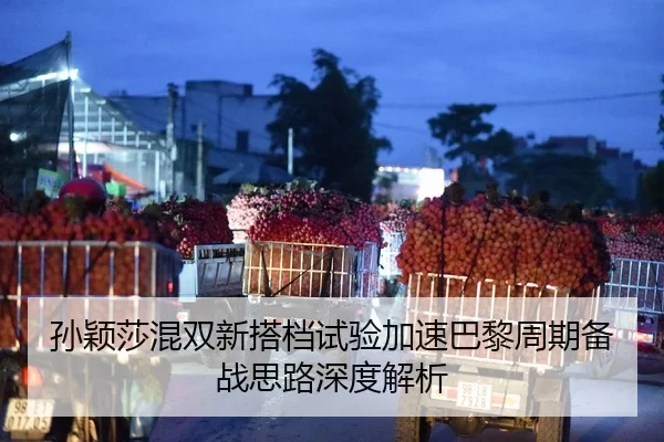 孙颖莎混双新搭档试验加速巴黎周期备战思路深度解析